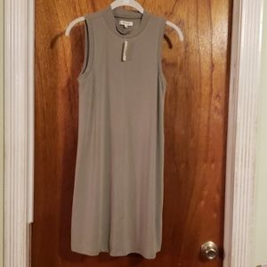 Madewell Mockneck Sleeveless Dress